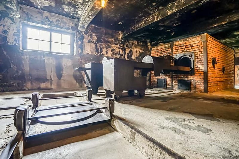 Auschwitz-Birkenau Skip-the-Line Guided Tour - Key Points