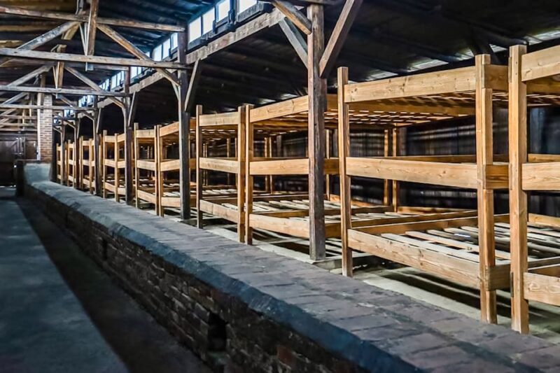 Auschwitz-Birkenau Skip-the-Line Guided Tour - Accessibility and Physical Considerations