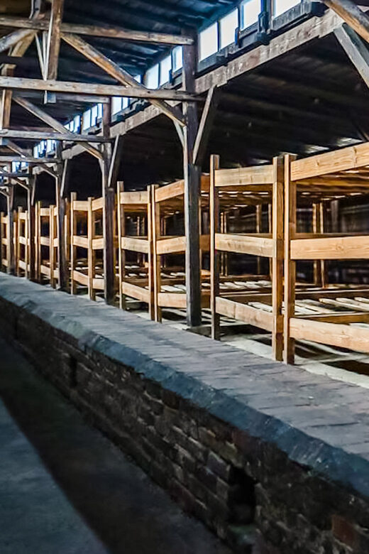 Auschwitz-Birkenau Skip-the-Line Guided Tour - The Emotional and Educational Impact