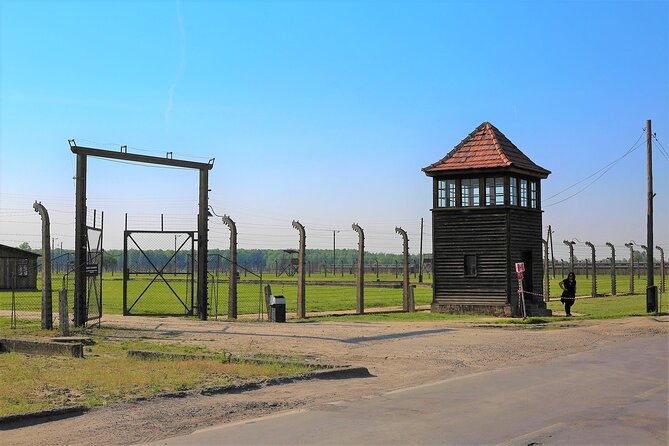 Auschwitz-Birkenau Tour with Private Transport - How the Private Transport Enhances the Auschwitz-Birkenau Visit