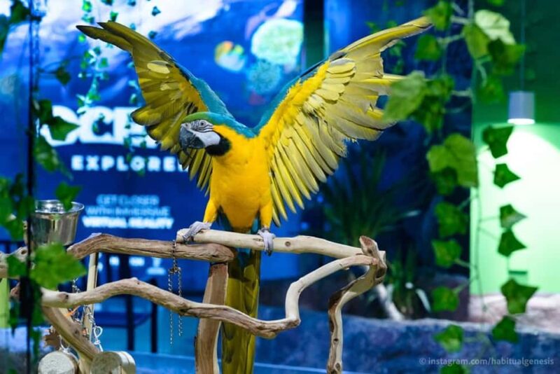 Austin Aquarium Entry Ticket - Key Points