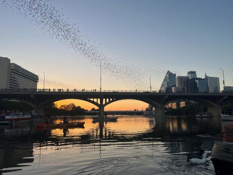 Austin: Bat Bridge Sunset Kayak Tour - Key Points