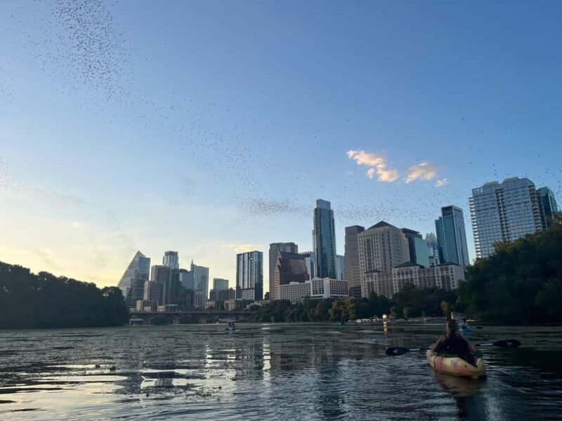 Austin: Bat Bridge Sunset Kayak Tour - Starting Point at the Kayak Rental Shop in Austin