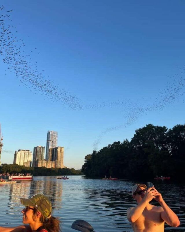 Austin: Bat Bridge Sunset Kayak Tour - Observing the Sunset and City Views from the Water