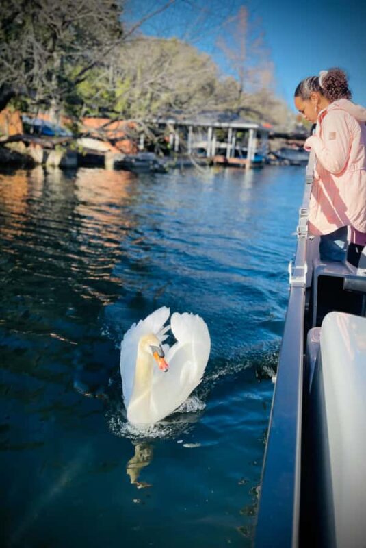 Austin: Lake Austin Private Boat Cruise - Full Sun Shading - The Flexibility of 2- or 4-Hour Options