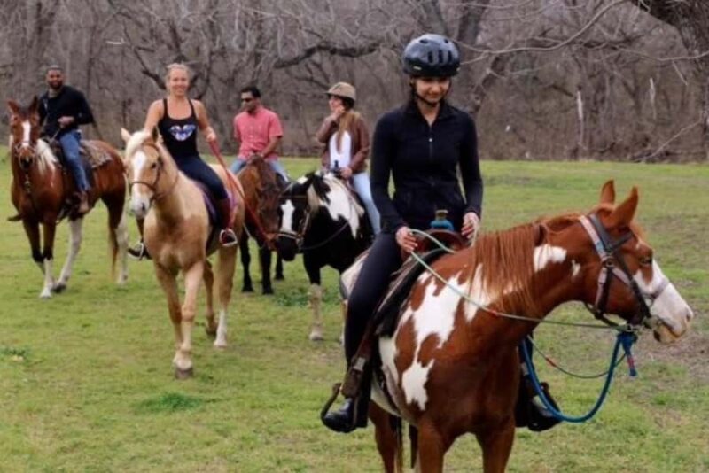 Austin: Maverick Horsemanship Trail Ride - The Sum Up: An Authentic and Scenic Horseback Ride in Austin