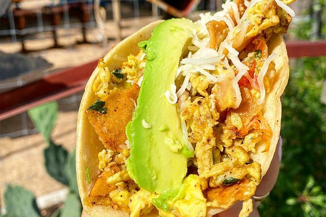 Austin Walking Food Tour With Secret Food Tours - The Tours Starting Points and Locations