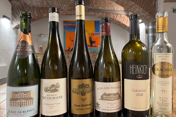 Austrian Wine Tasting - Logistics: Meeting Point and Accessibility