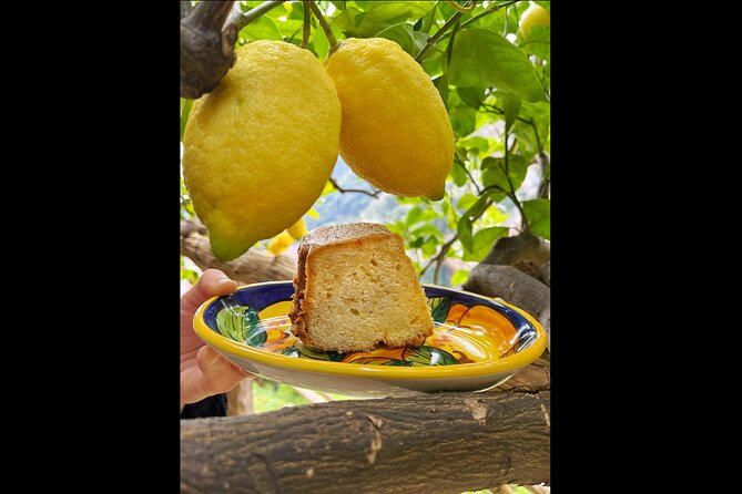Authentic Amalfi Lemon Tour & Tasting in the Historical Garden - The Guide’s Expertise and Friendly Approach