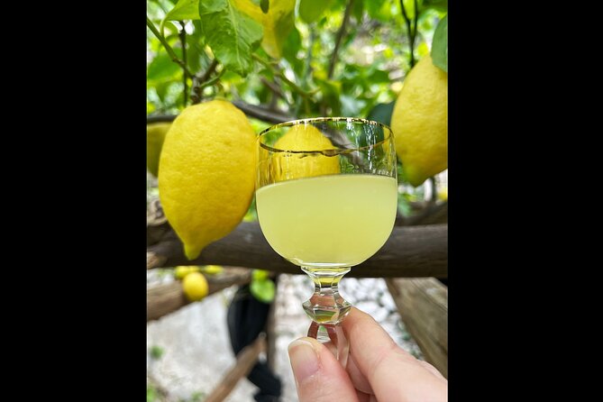 Authentic Amalfi Lemon Tour & Tasting in the Historical Garden - Accessibility, Logistics, and Practical Tips