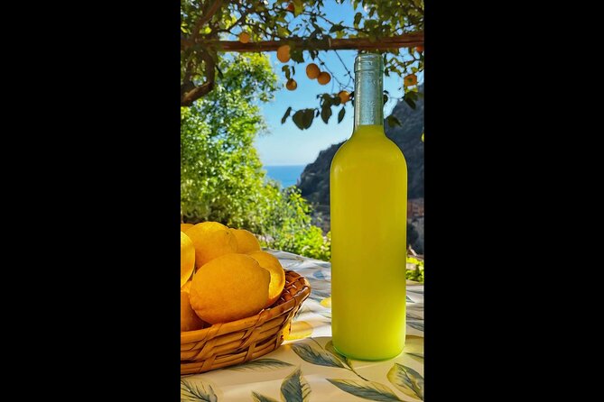 Authentic Amalfi Lemon Tour & Tasting in the Historical Garden - How This Tour Compares to Other Amalfi Experiences