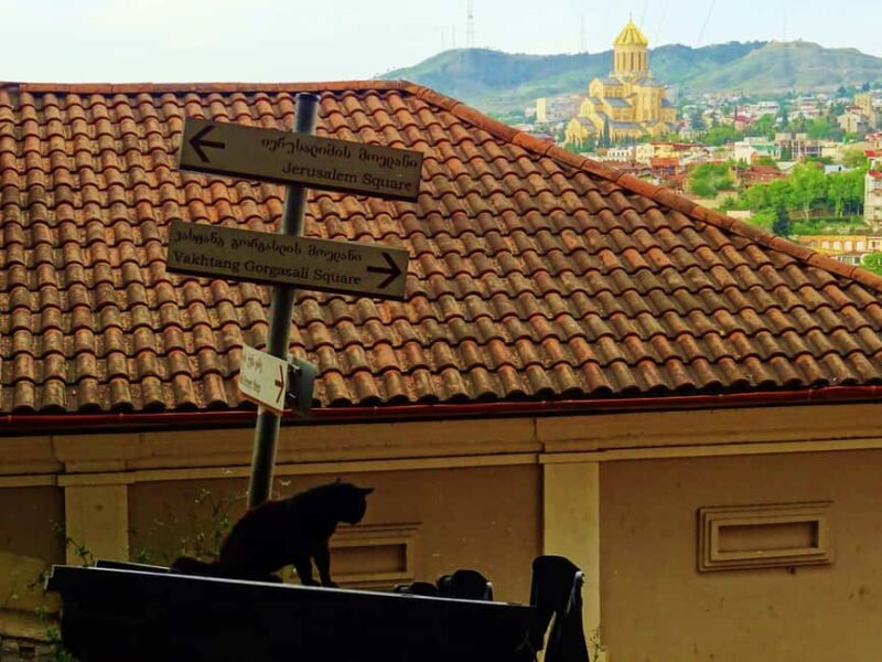 Authentic and secret Tbilisi  Private tour (price for 1 to 3 people) - Uncovering Monuments with Unusual Architecture