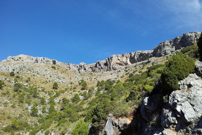 Authentic Andalusia - Jeep Eco Tour (pick up from Marbella - Estepona) - Monda: A Quaint Village and Traditional Lunch