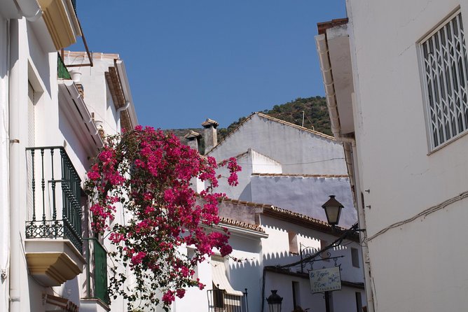 Authentic Andalusia - Jeep Eco Tour (pick up from Marbella - Estepona) - Cultural Insights in Ojen and Monda