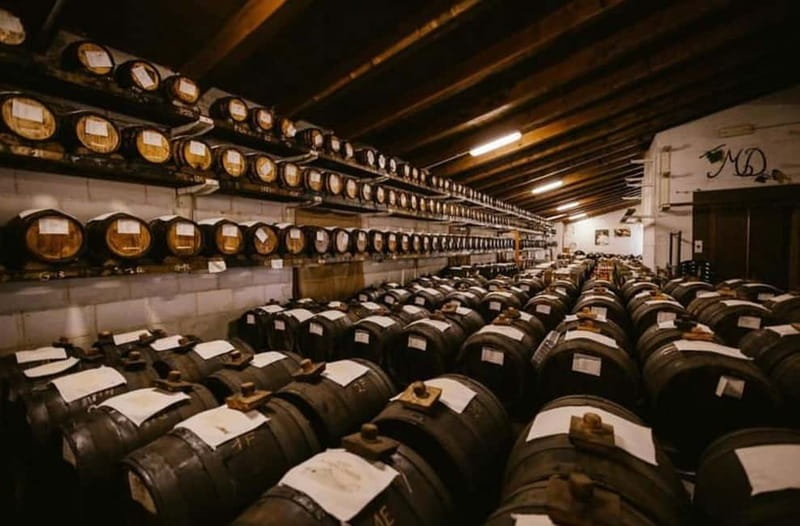 Authentic Balsamic Vinegar Tour & Tasting in Modena - The Art of Aged Balsamic Vinegar in Modena