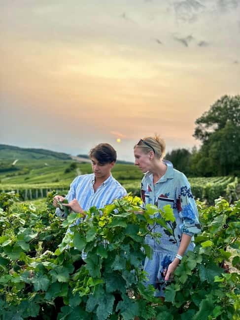 Authentic Champagne Tour: 3 vineyards, 10 Tastings & Lunch - Key Points