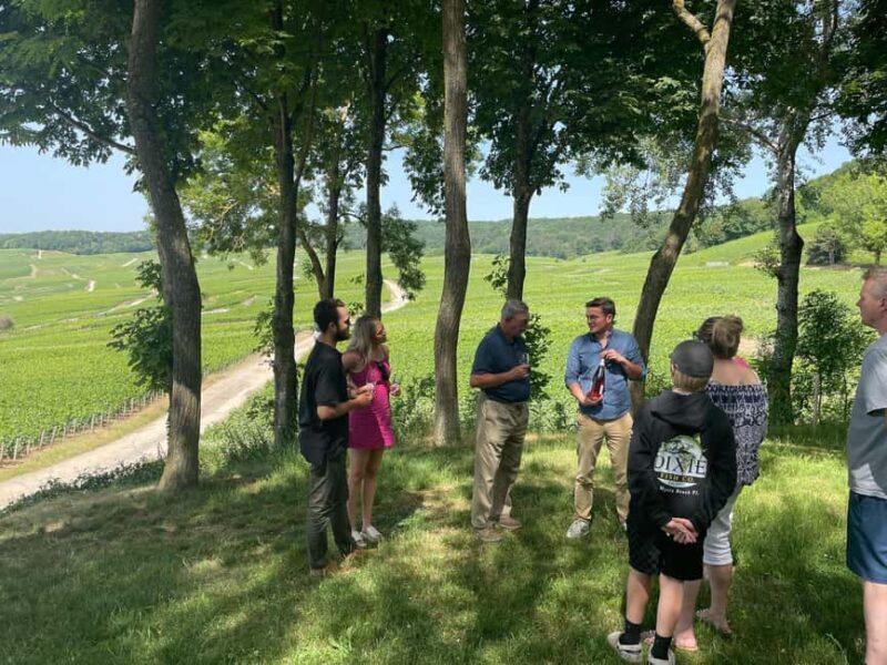 Authentic Champagne Tour: 3 vineyards, 10 Tastings & Lunch - Champagne Cellar Tours and Tasting Experiences