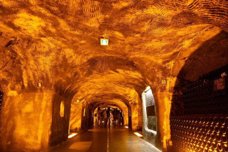 Authentic Champagne Tour: 3 vineyards, 10 Tastings & Lunch - The Gourmet French Lunch Paired with Champagne