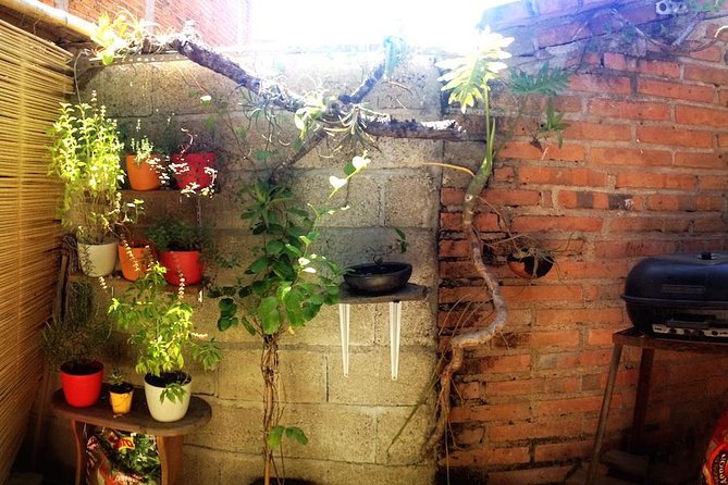 Authentic Cooking Class in Puerto Vallarta with Local Chef, Manu - Location and Meeting Point at Otilo Montaño, Puerto Vallarta