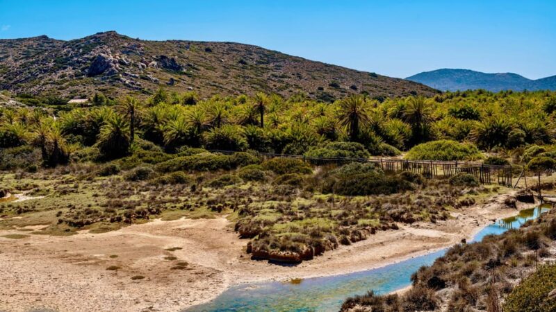 Authentic Crete: Cretan Honey & Wine Tasting & Village Tour - Exploring the Traditional Mountain Village of Archanes