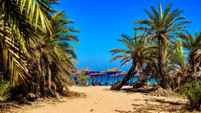 Authentic Crete: Cretan Honey & Wine Tasting & Village Tour - The Sum Up: A Cultural and Tasty Journey into Rural Crete