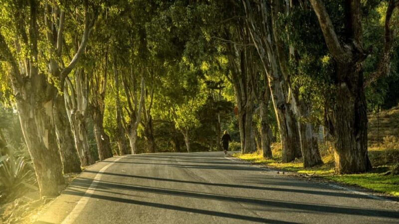 Authentic Crete in Winter: Minoan Farm, Winery and Monastery - Key Points