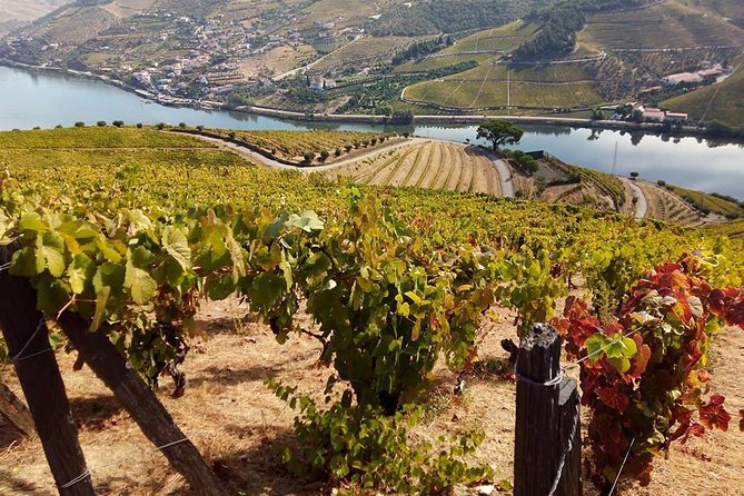 Authentic Douro Valley - small-Group Tour (Max 7) - What’s Included and What to Expect