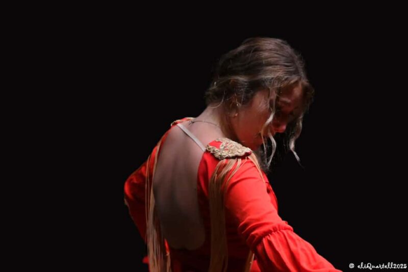 Authentic Flamenco Show Hard Rock Cafe - Authentic Flamenco Show Hard Rock Cafe: A Unique Cultural Experience in Valencia