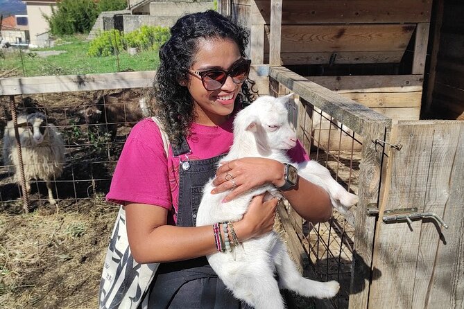Authentic Garden to Table Cooking Class in Dubrovnik Countryside - Visiting the Garden for Fresh Ingredients and Eggs