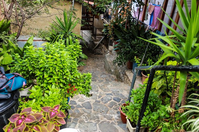 Authentic Gourmet Tour with Wine and Food Tasting from Paphos - Key Points