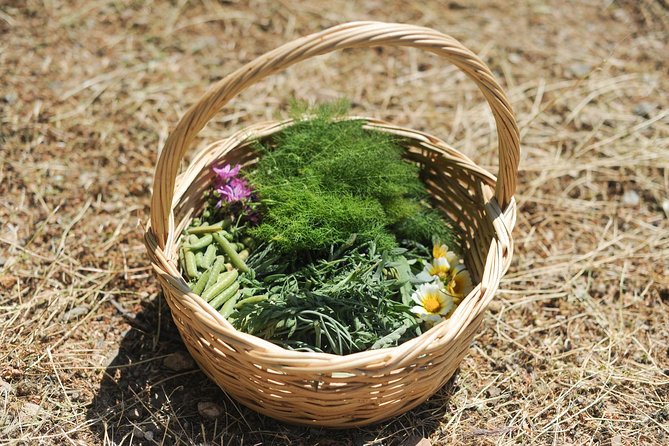 Authentic Greek Cooking & Foraging Experience in Syros with Maria - Syros in Bloom: Foraging in Maria’s Garden