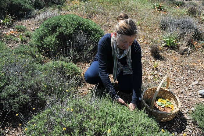Authentic Greek Cooking & Foraging Experience in Syros with Maria - Cooking in Maria’s Kitchen: From Garden to Table