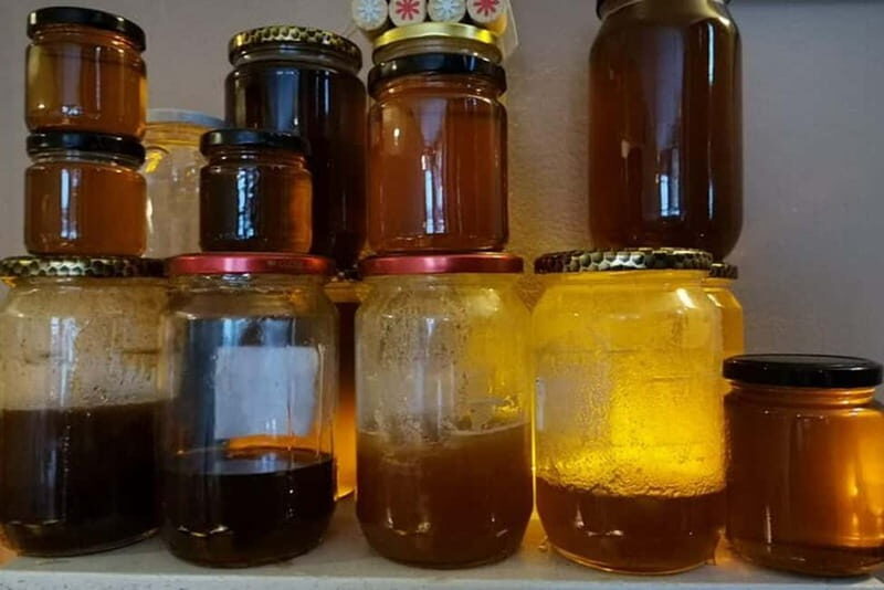 Authentic Homemade Bulgarian Dessert Tasting in Sofia - The Atmosphere and Music of the Venue