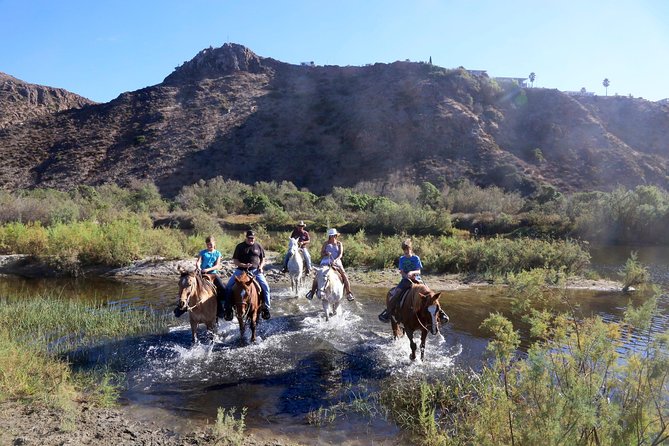 Authentic horseback riding in beautiful La Mision - Meet the Farm Animals and Experience Baja Hospitality