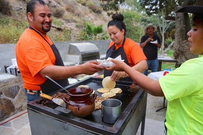 Authentic horseback riding in beautiful La Mision - The Quality of Horses and Riding Experience