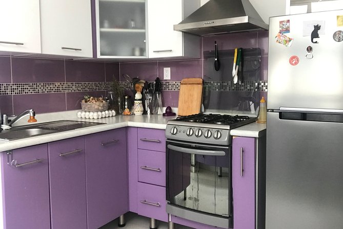 Authentic Jamaican Cooking Class in Mexico City with Theresa - Meeting Point and Logistics