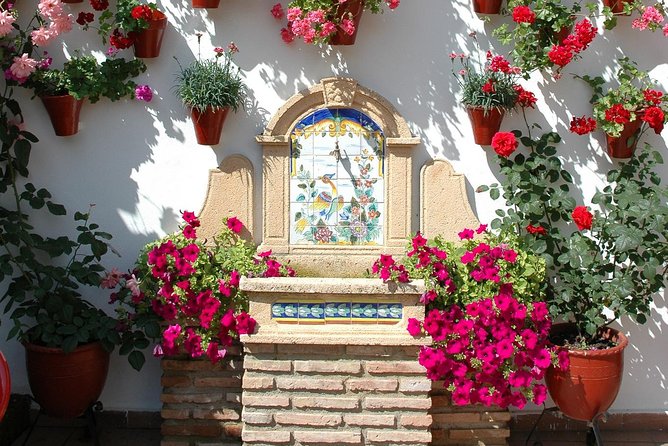 Authentic Patios of Cordoba Guided Tour - Limitations and Considerations