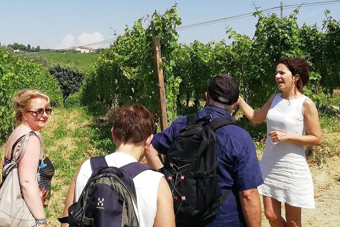 Authentic Piedmont wine tour with a local Sommelier - Explore Monferrato’s Authentic Wines with a Private Sommelier