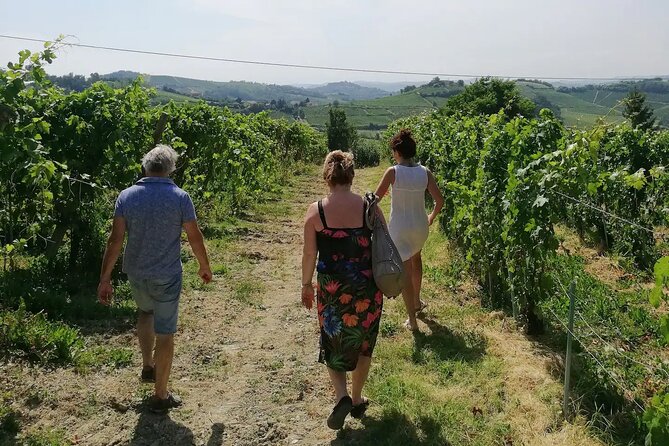 Authentic Piedmont wine tour with a local Sommelier - Discovering Cocconato’s Charm and Native Wines