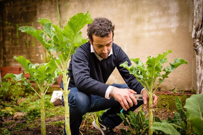 Authentic Portuguese Cooking Class and Dinner in a Lisbon Home - Zé’s Engaging and Knowledgeable Style