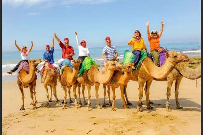 Authentic Private Tangier Tour from Cadiz Camel Ride & Lunch - Visiting the Caves of Hercules and the Tangier Casbah