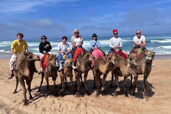 Authentic Private Tangier Tour from Seville Camel Ride & Lunch - Camel Ride at Achakkar Beach