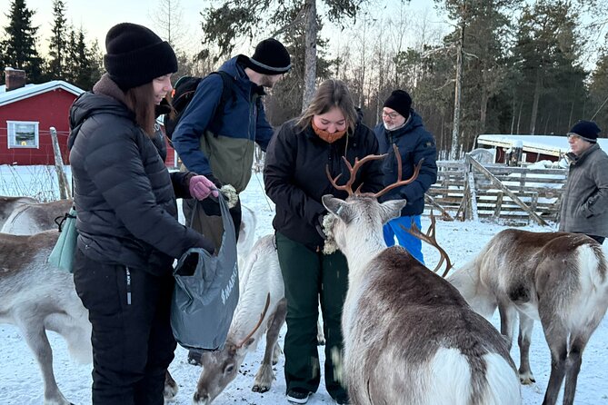 Authentic Reindeer Experience and Ice Fish with Lunch in the Wild - What Sets This Tour Apart from Others in Levi