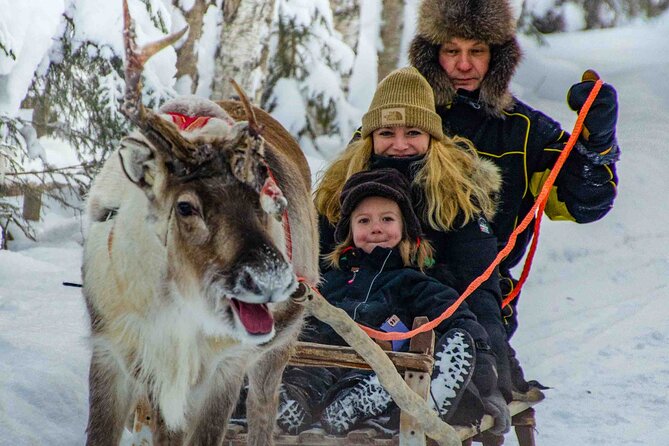 Authentic Reindeer Farm Experience in Rovaniemi - Insights from Reviews and Guide Expertise