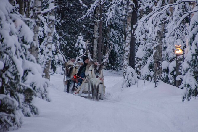 Authentic Reindeer Farm Experience in Rovaniemi - Why Choose This Reindeer Farm Tour in Rovaniemi?