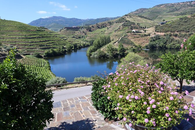 Authentic Small Group Douro Wine Tour with Lunch & River Cruise - Practical Details and Booking Information