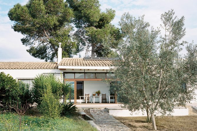 Authentic Valencian Paella Cooking Class - The Food: Paella and Additional Delights