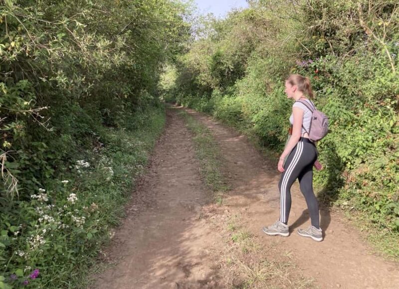 Authentic Veracruz: Guided Hike from Naolinco to Acatlán with Meal - Scenic Hike from Naolinco to Acatlán Along Mountain Trails