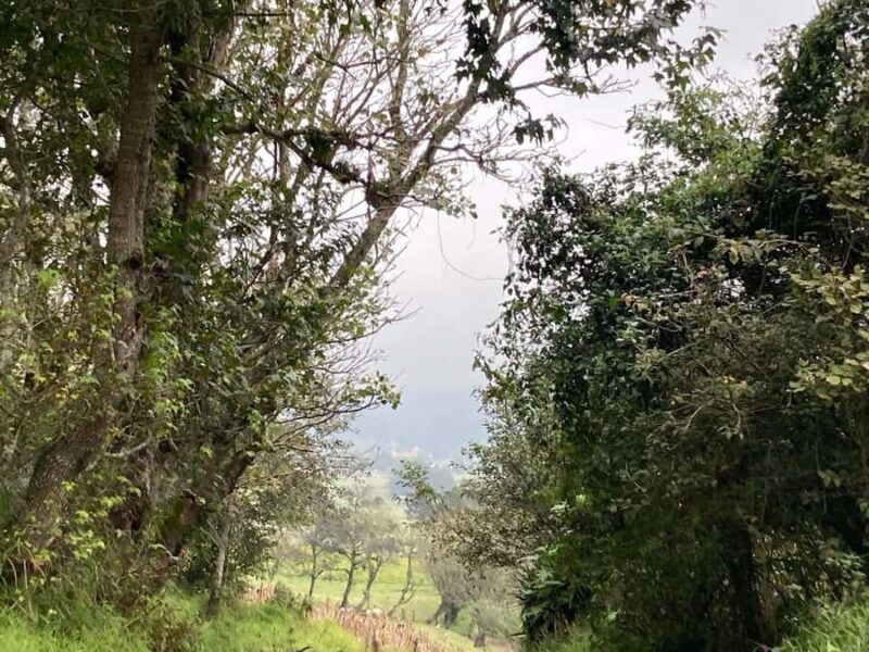 Authentic Veracruz: Guided Hike from Naolinco to Acatlán with Meal - Lunch Break and Regional Cuisine in Acatlán