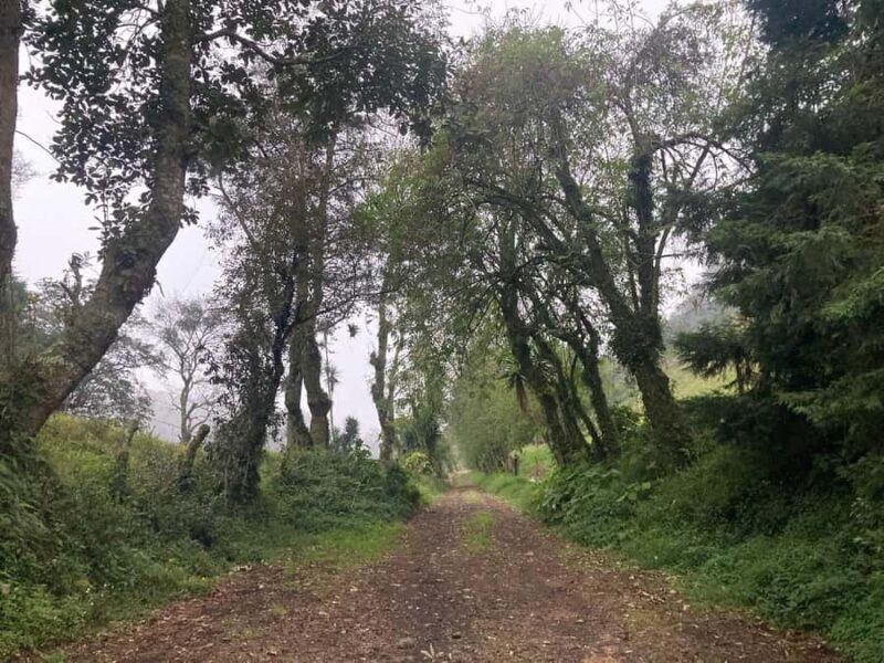 Authentic Veracruz: Guided Hike from Naolinco to Acatlán with Meal - Exploring Acatlán’s Serene Lake, Church, and Park